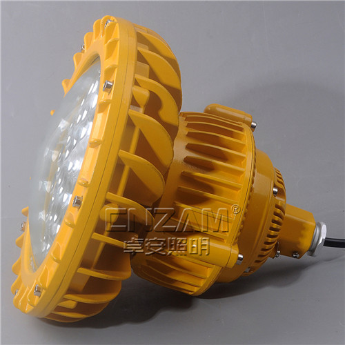 ZBD102-III LED免维护防爆泛光灯-4
