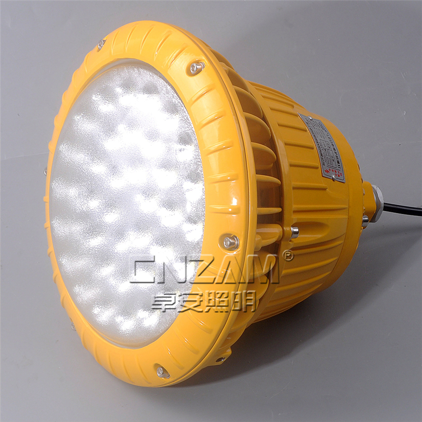 ZBD104-II LED免维护防爆灯-4