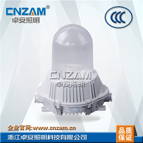 ZGF601(NFC9180)（GC101) 防眩泛光灯