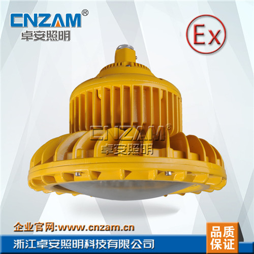 ZBD102-III LED免维护防爆泛光灯