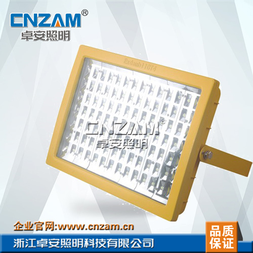 ZBD111-III LED免维护防爆灯